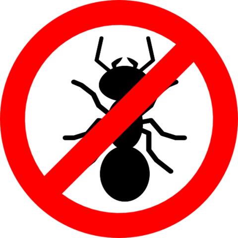 Ant Repellent
