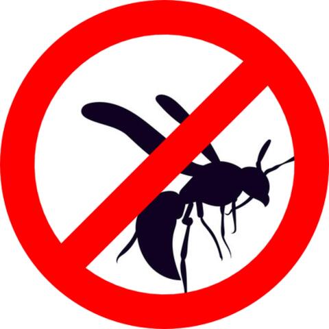 Wasp Repellent