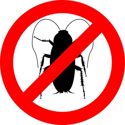 Cockroach Repellent