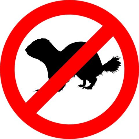 Gopher Repellent