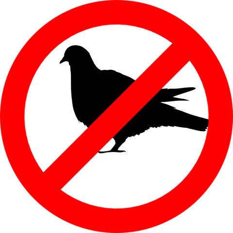 Pigeon Repellent