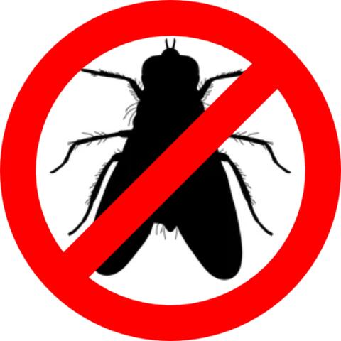 Fly Repellent