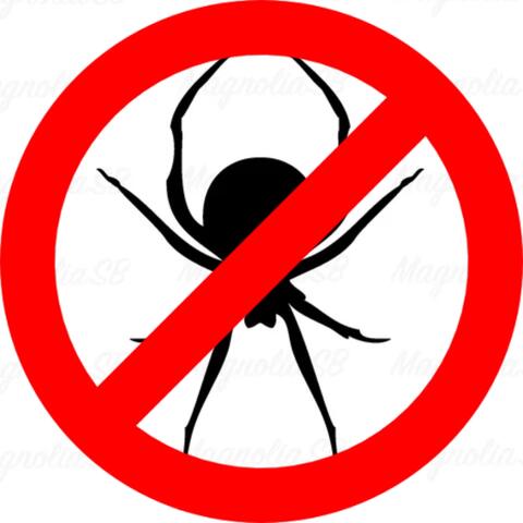 Spider Repellent