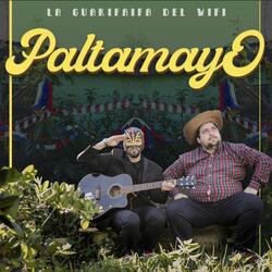 La Guarifaifa del Wifi