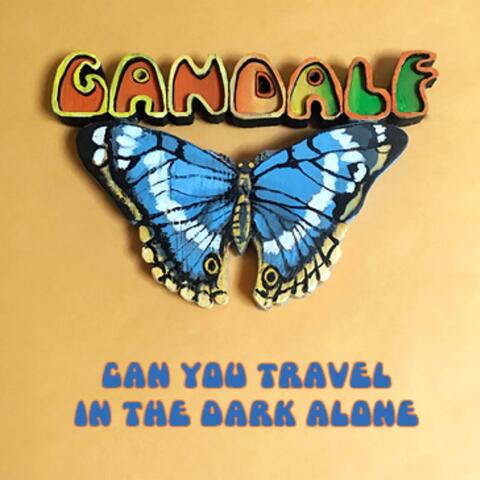 Can You Travel in the Dark Alone