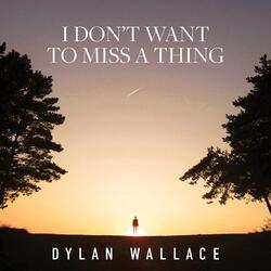 I Don't Want to Miss a Thing