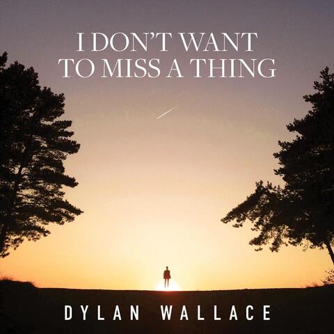 I Don't Want to Miss a Thing