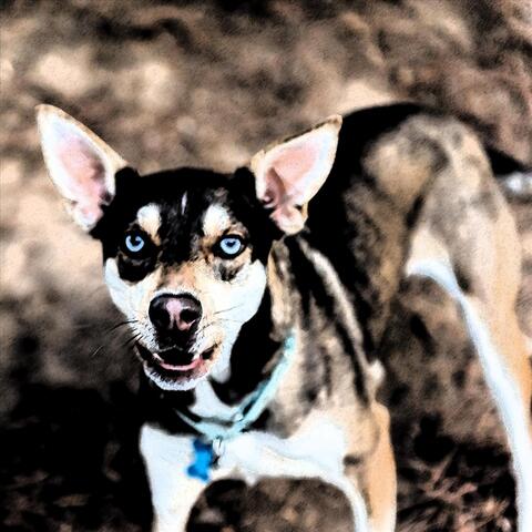 One Point Four Billion