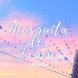 Mosquita de Fruta