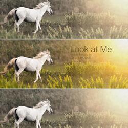Look at Me