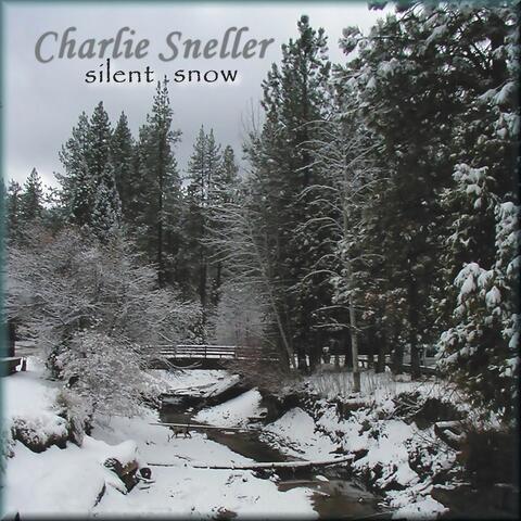 Silent Snow