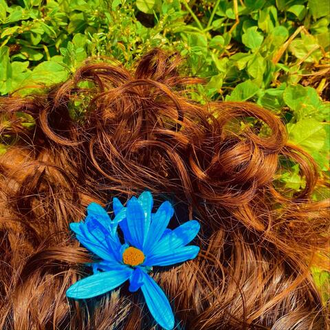 Flower in Your Hair