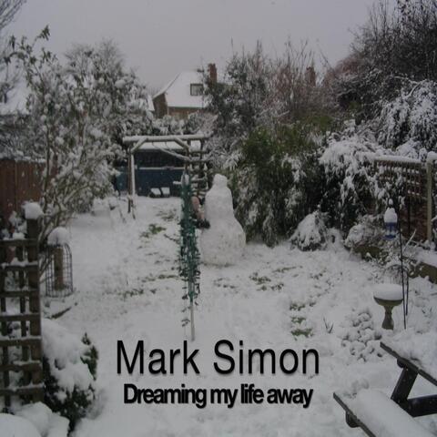 Mark Simon