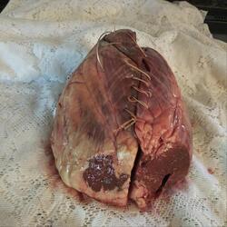 Frankenstein Heart