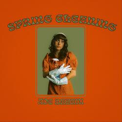 Spring Cleaning