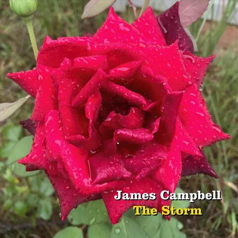 The Storm