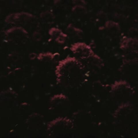 Architectures vs Strategy: Remixes and Reconstructions