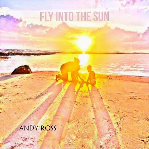 Fly into the Sun