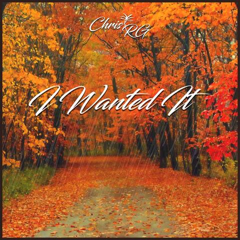 I Wanted It (feat. Liel Bar-Z)