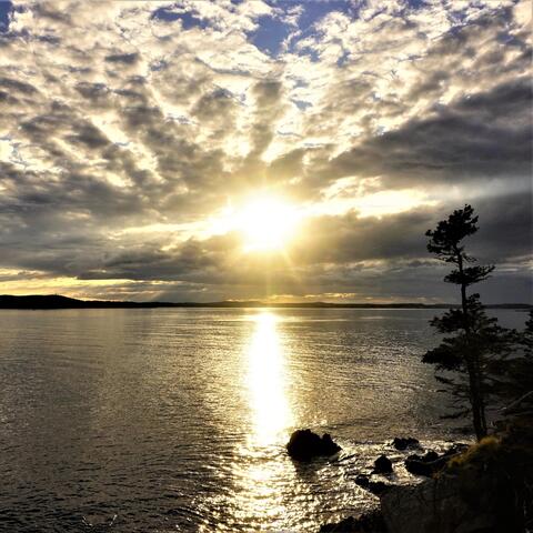 Escape to Island of Relaxing and Healing Music Meditation of Gentle Guitar, Ambient Keyboards and Magic Flute