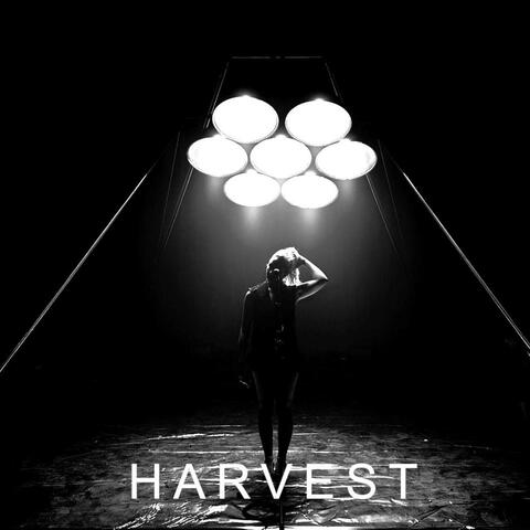Harvest (Live from Spraoi Studios)