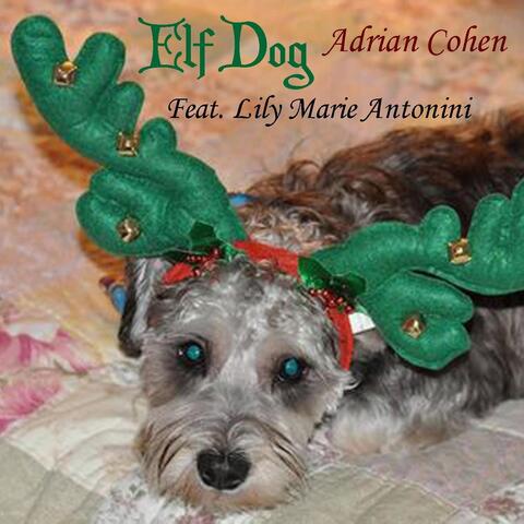 Elf Dog (feat. Lily Marie Antonini)