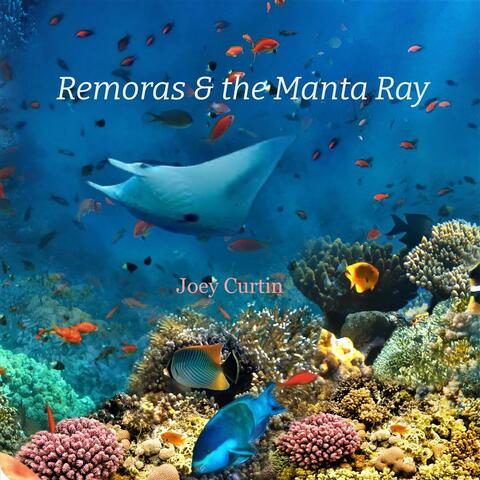 Remoras & the Manta Ray