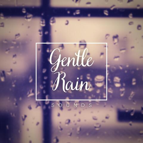 Gentle Rain Sounds