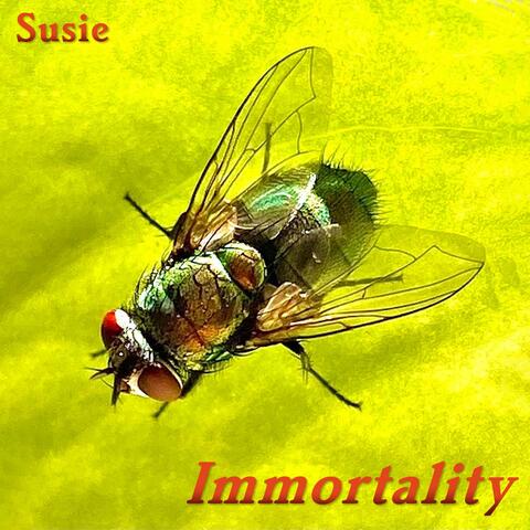 Immortality