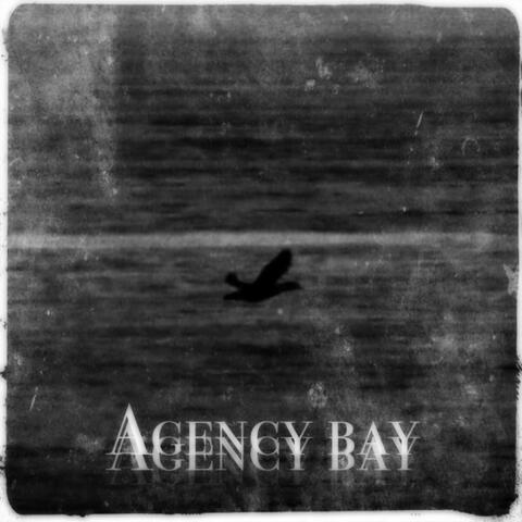 Agency Bay