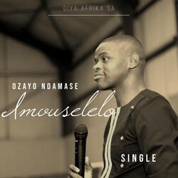 Imvuselelo