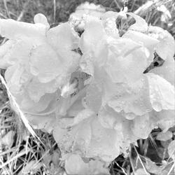 Lord You Are My Everything (Live)