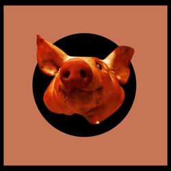 Year of the Pig