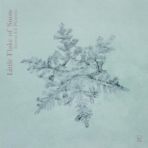 Little Flake of Snow