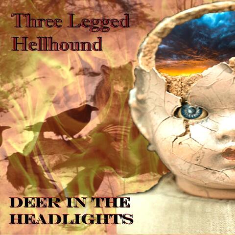 Deer in the Headlights