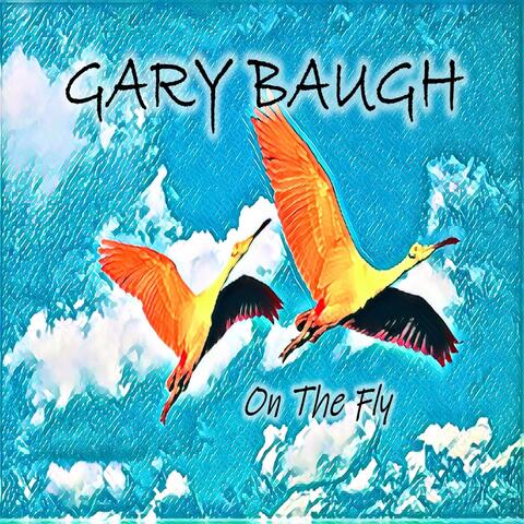 On the Fly