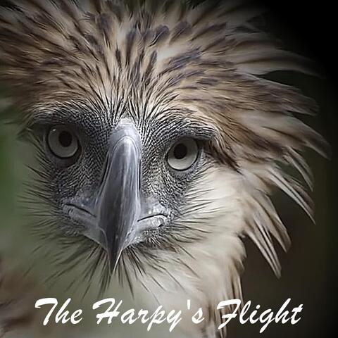 The Harpy's Flight