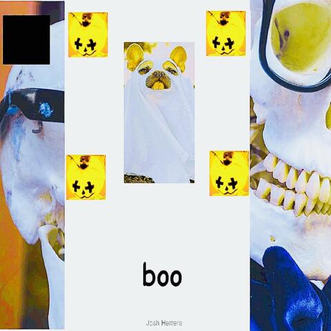 Boo