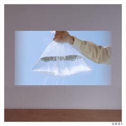 See the Dusk / See They Howling