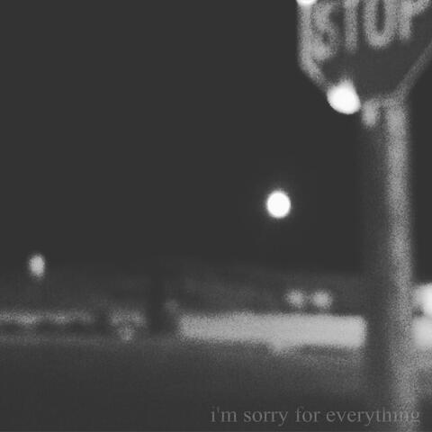 I'm Sorry for Everything
