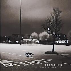 Little Fox