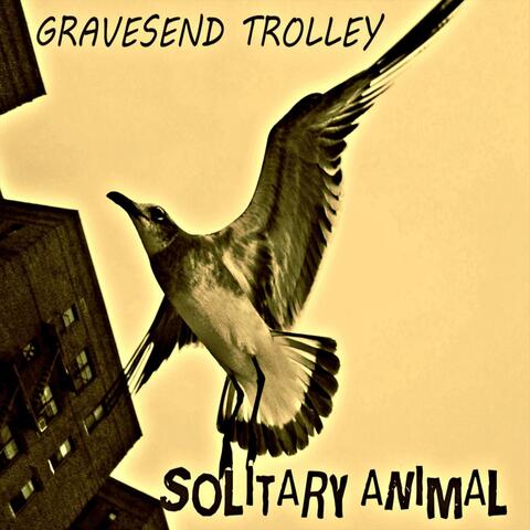Solitary Animal