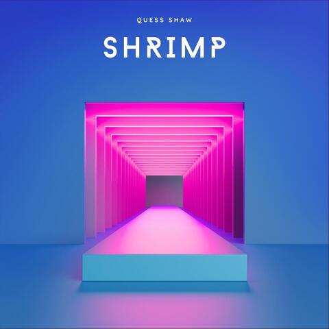 Shrimp