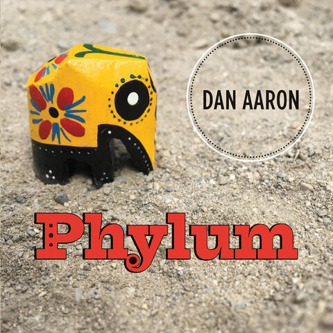 Phylum