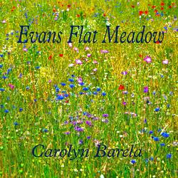 Evans Flat Meadow