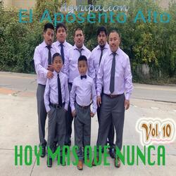 Cansado Del Camino
