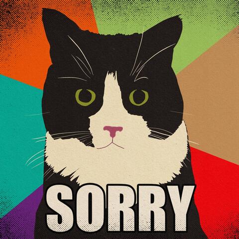 Sorry