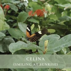 Celina (Smiling at Sunrise)