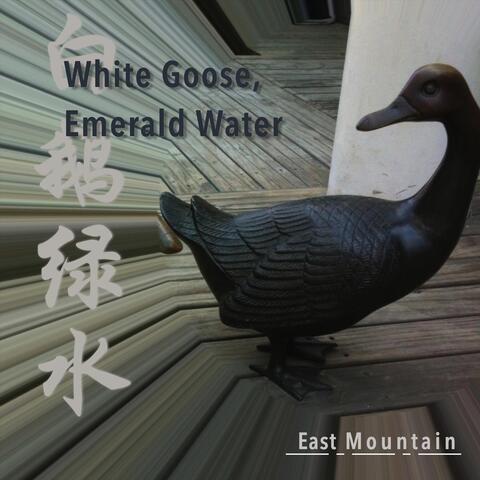 White Goose, Emerald Water
