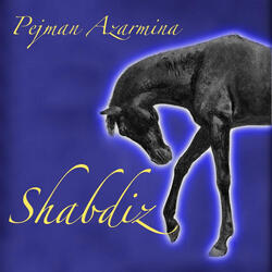 The Compassionate (feat. Siamak Banai)